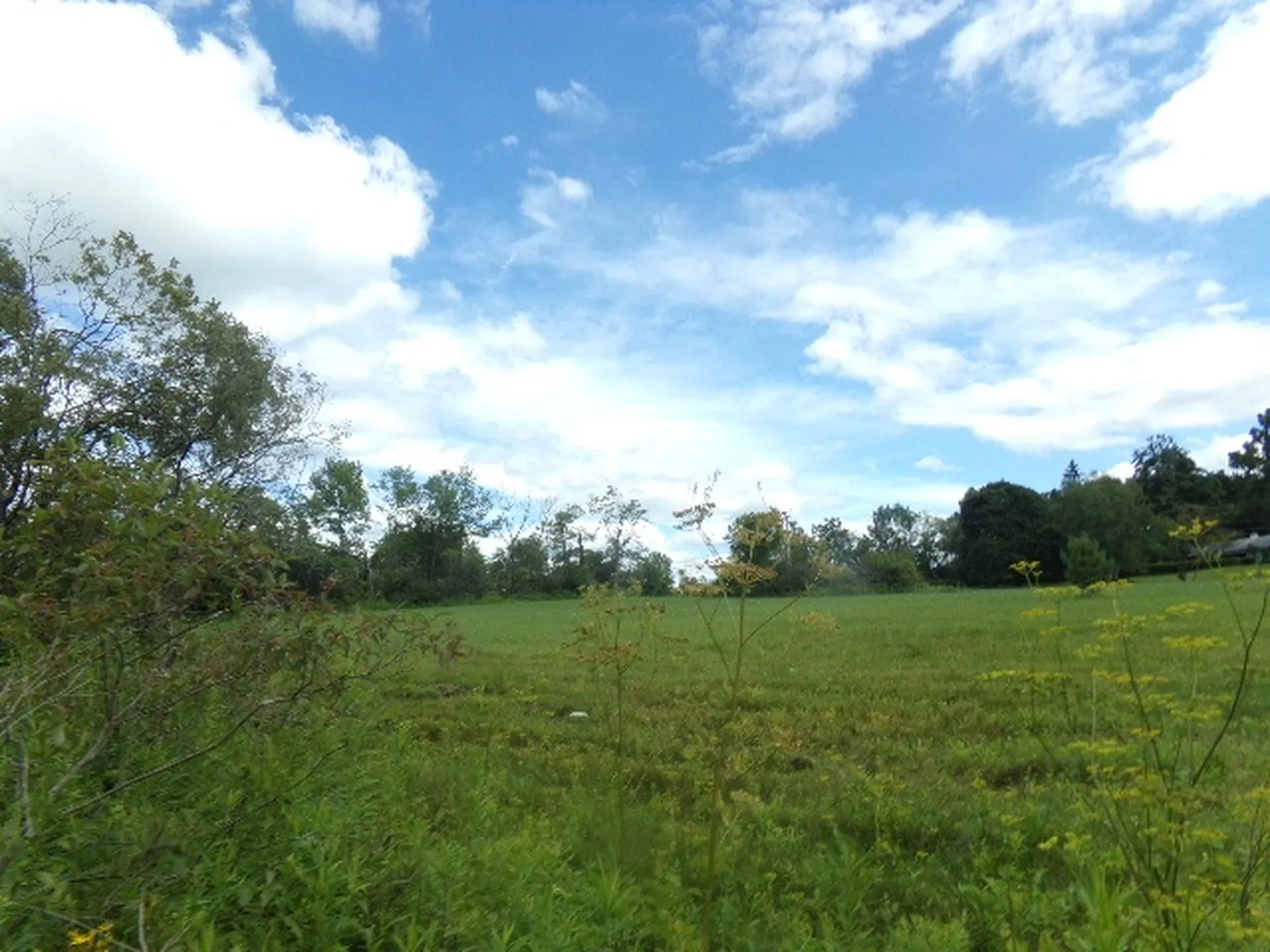 600 Horton Hill Road Shaftsbury VT 05262