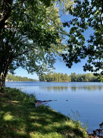20b Cedar Way Goffstown NH 03045