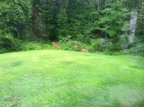 52 Moharimet Drive Madbury NH 03823