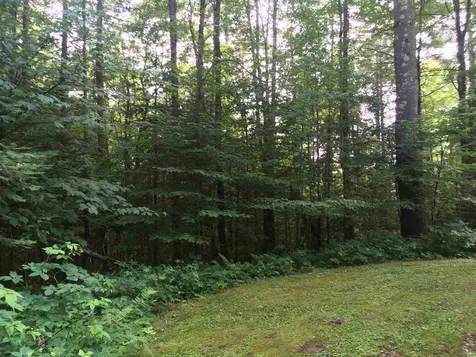 111 E Brook Crossing Wilmington VT 05363