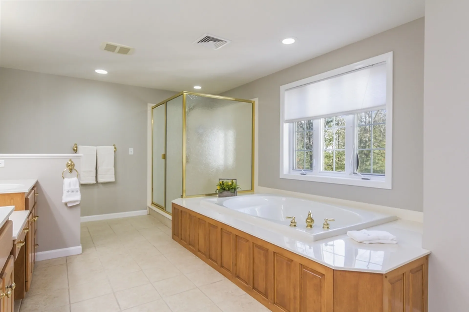 20 Settlers Ridge Windham NH 03087