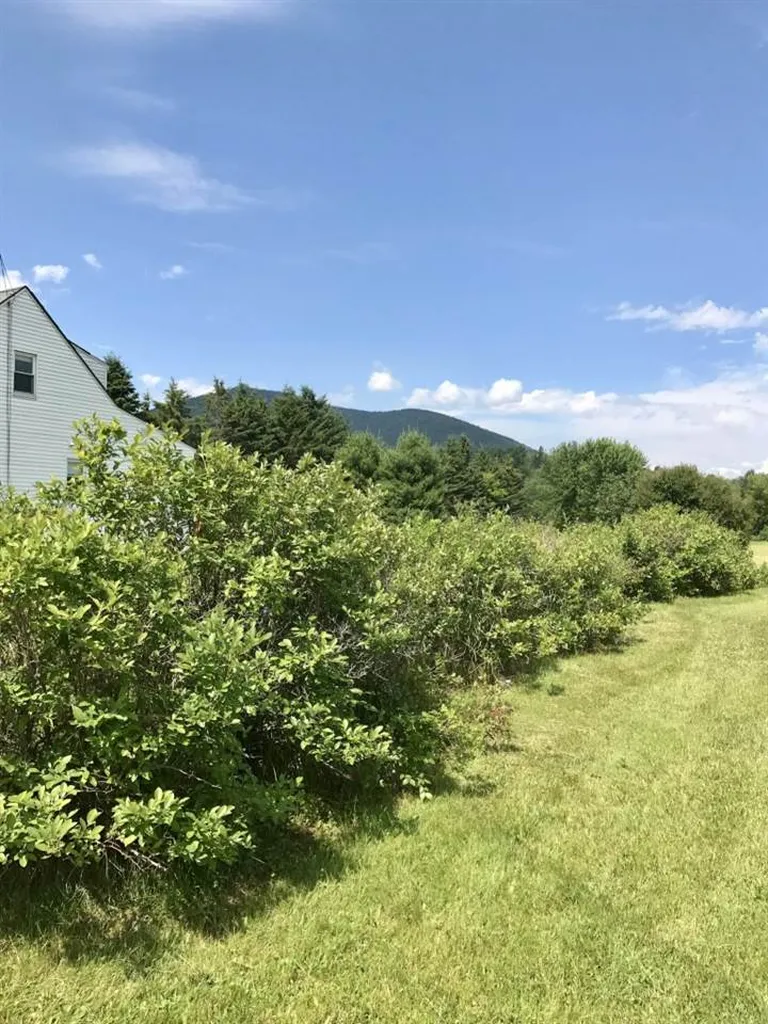 23 Nh Route 145 Colebrook NH 03576