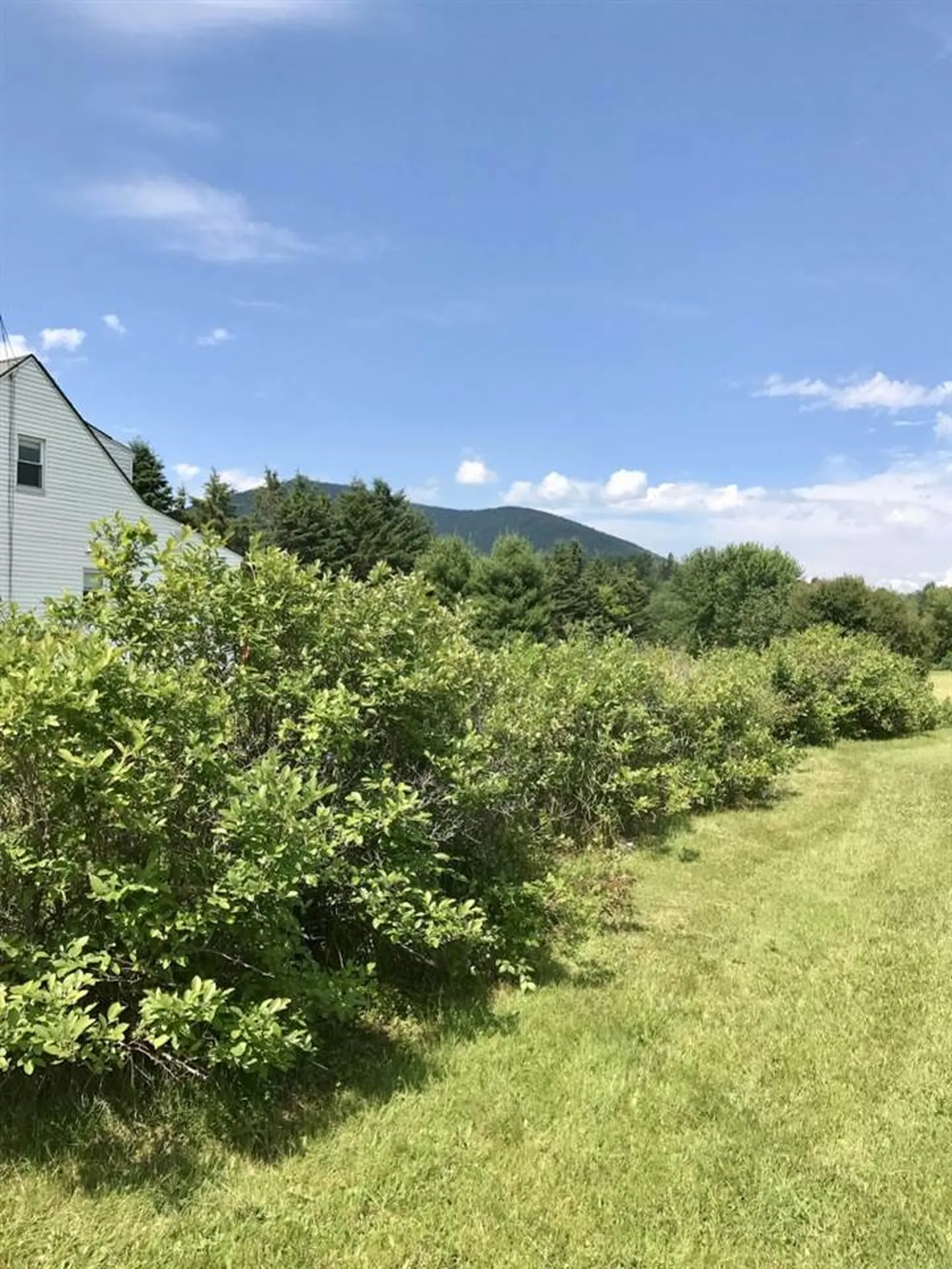 23 Nh Route 145 Colebrook NH 03576
