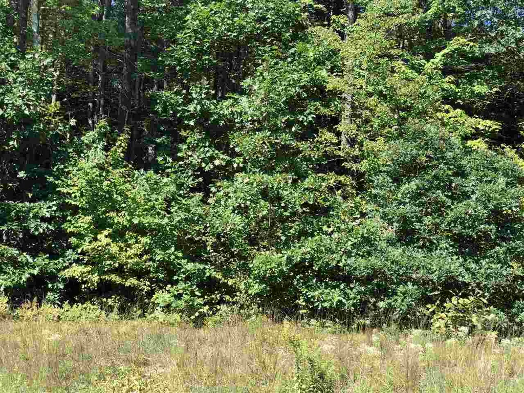46 Wildwood Drive Brookline NH 03033
