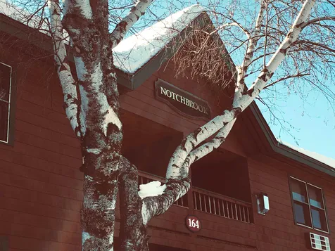 164 Deer Park Drive Woodstock NH 03262