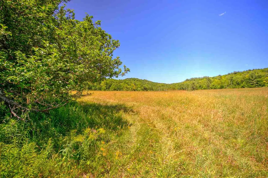 66 Alger Brook Road Strafford VT 05070