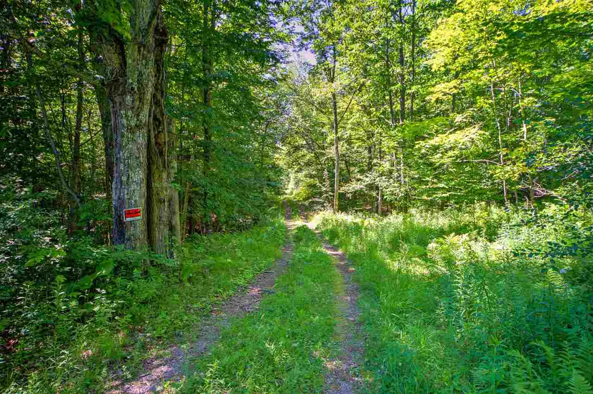 66 Alger Brook Road Strafford VT 05070
