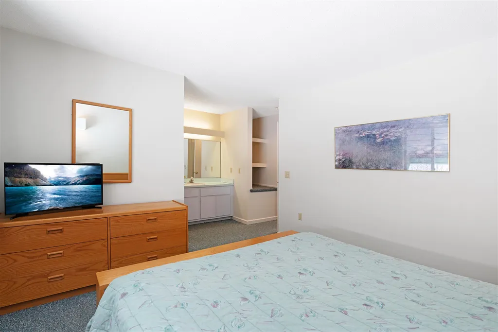 185 Village Green Drive Stowe VT 05672
