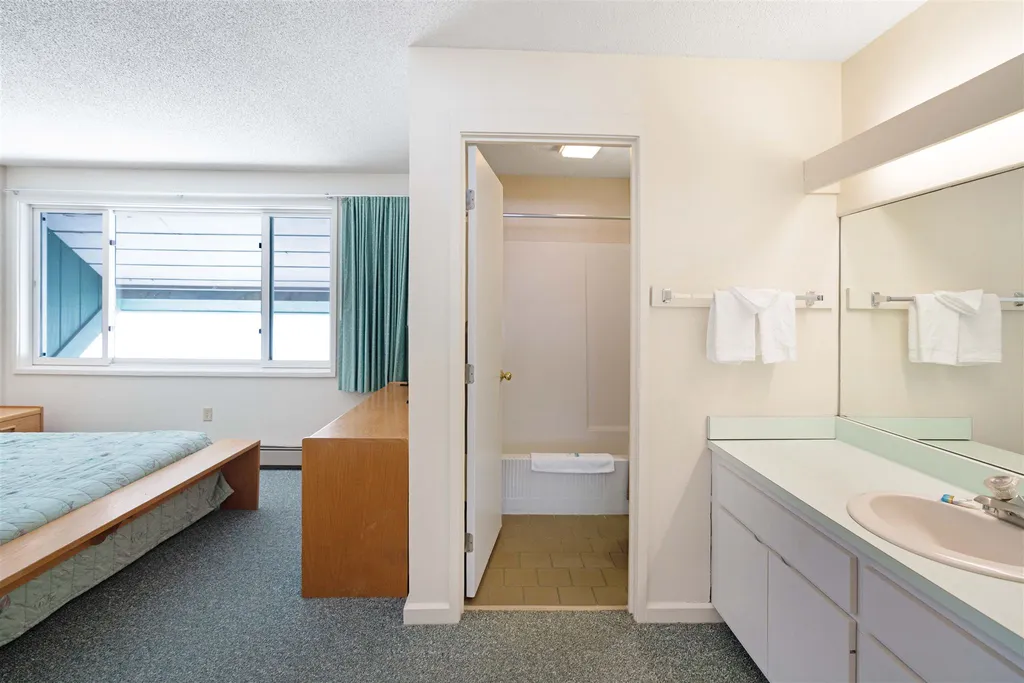 185 Village Green Drive Stowe VT 05672