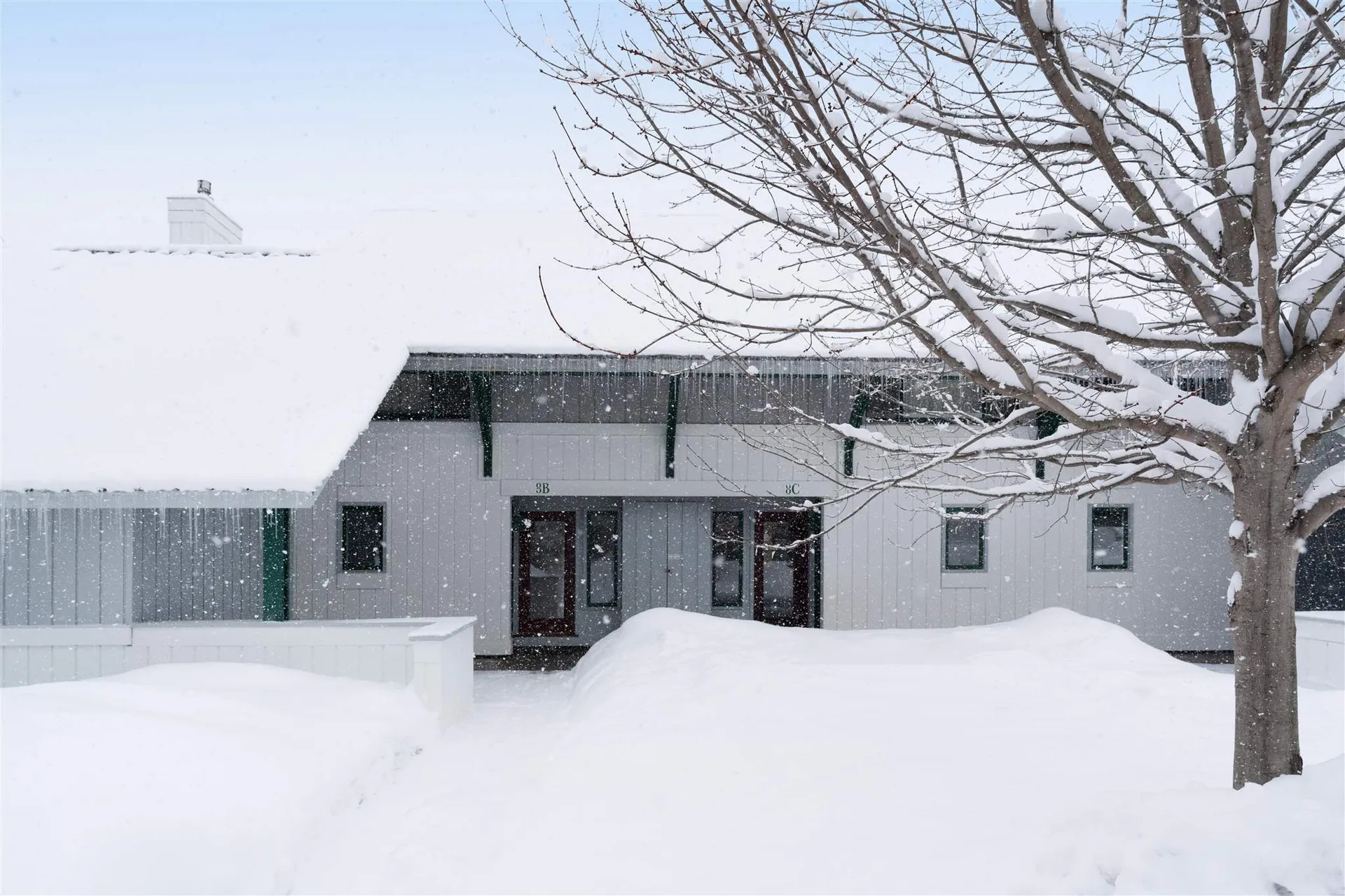 185 Village Green Drive Stowe VT 05672