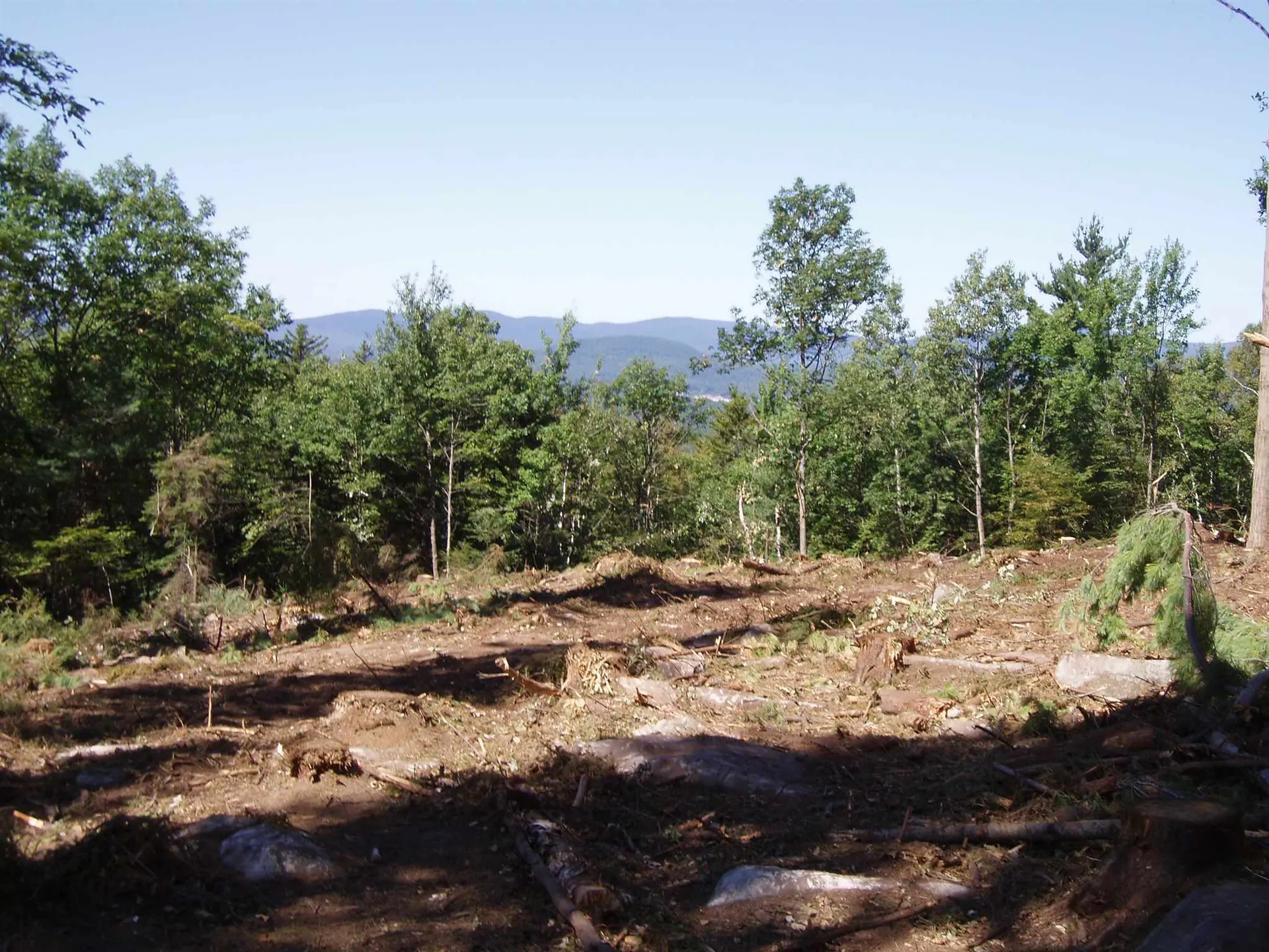 2314 Brook Road Goshen NH 03752