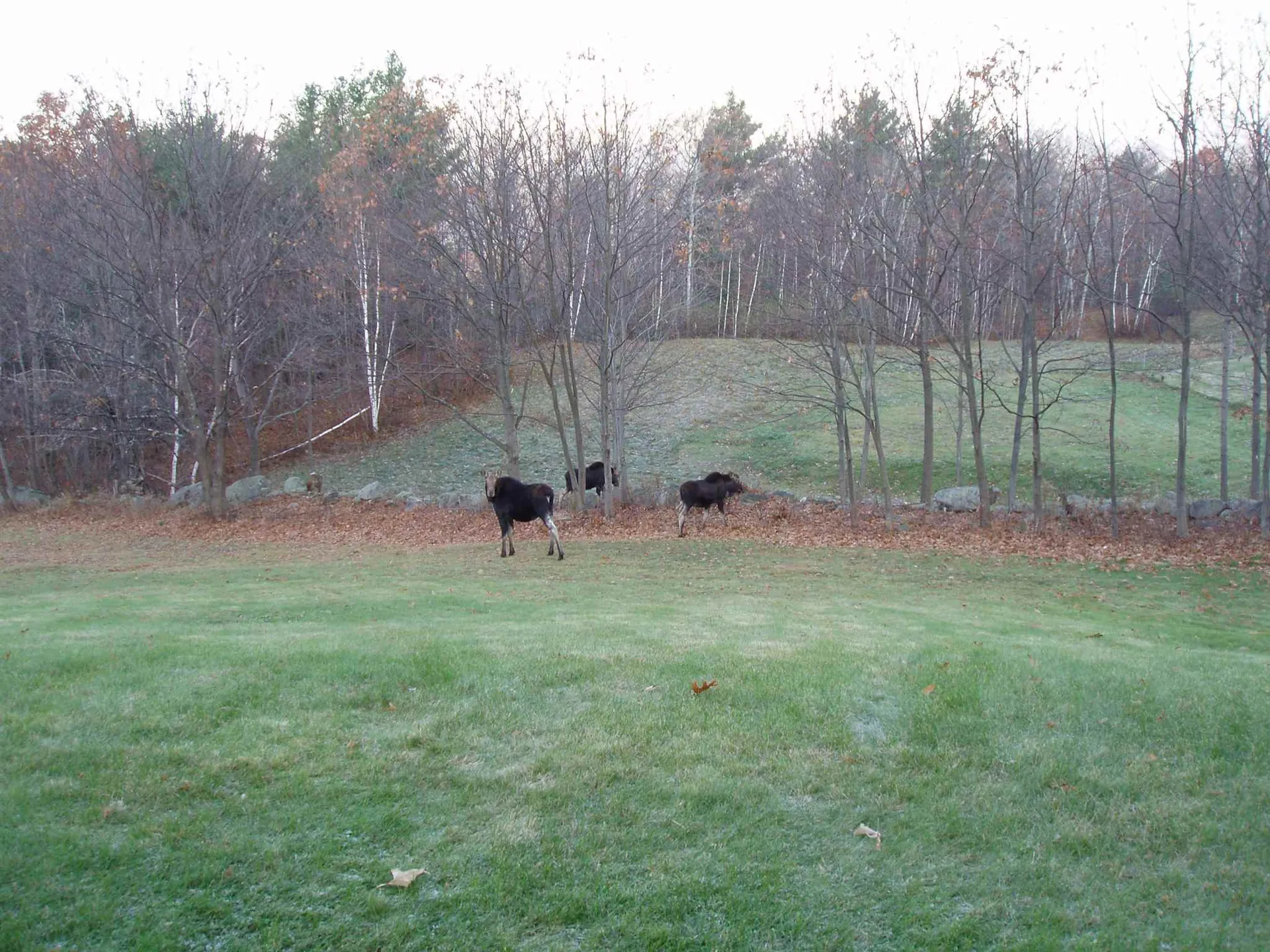 2314 Brook Road Goshen NH 03752