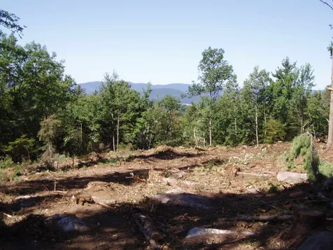 2314 Brook Road Goshen NH 03752