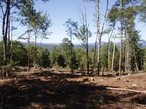 2314 Brook Road Goshen NH 03752