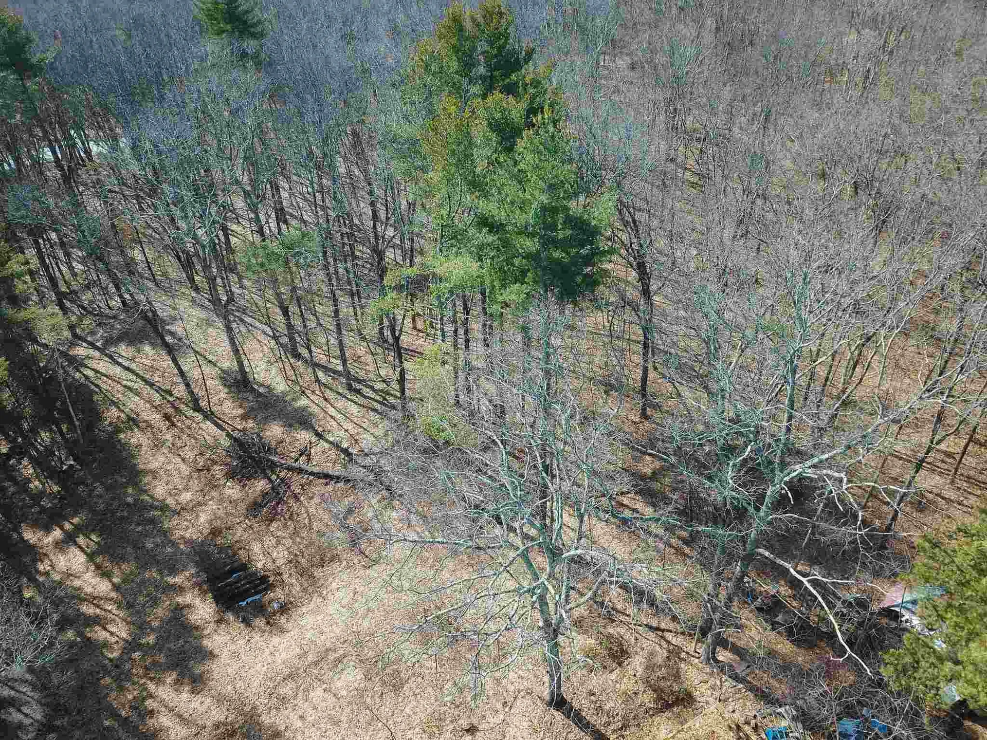 10 Allen Road Windham NH 03087