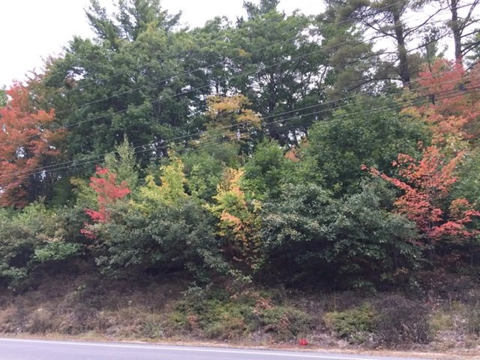 Lot 8 Conway Road Madison NH 03849