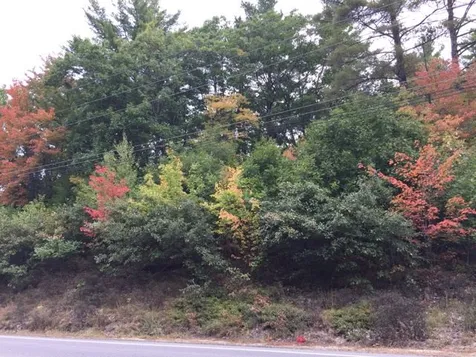 Lot 8 Conway Road Madison NH 03849