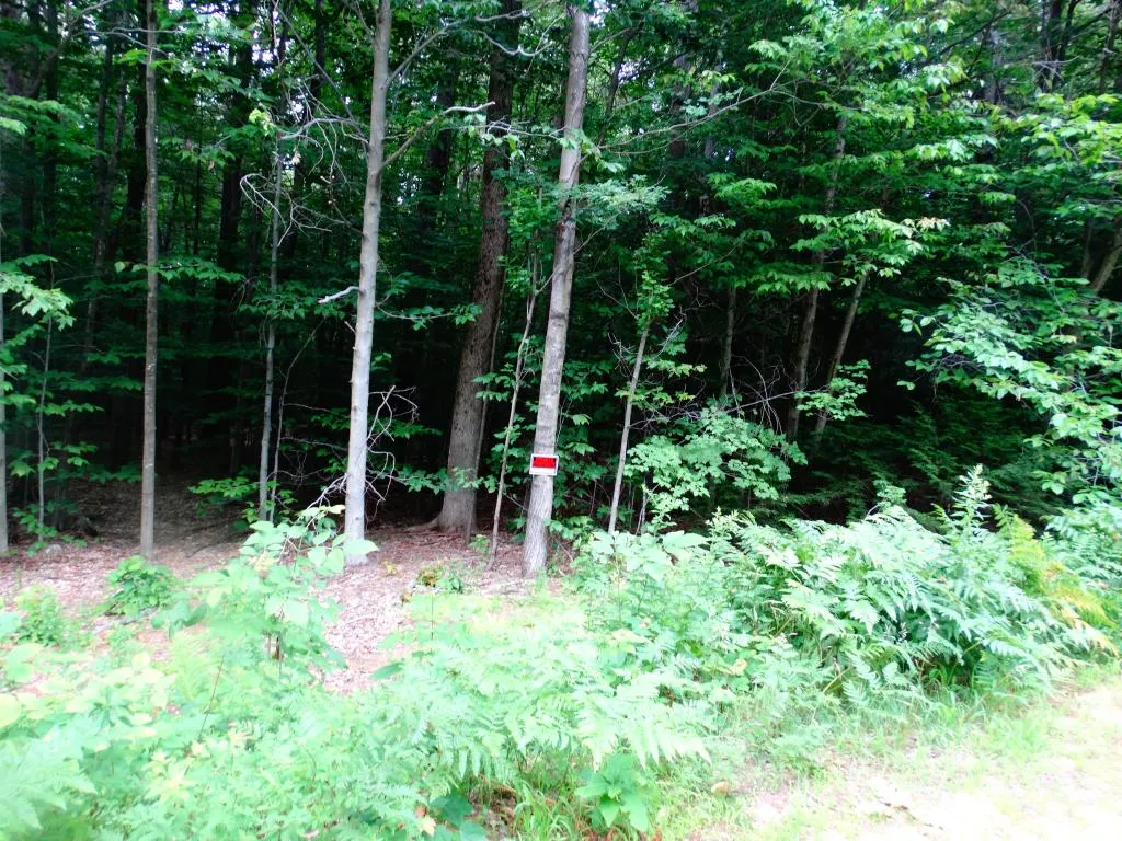 0 Beechwood Drive Gilmanton NH 03237