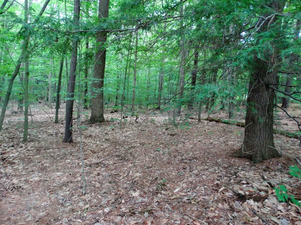 0 Beechwood Drive Gilmanton NH 03237