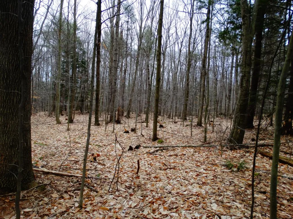 0 Beechwood Drive Gilmanton NH 03237