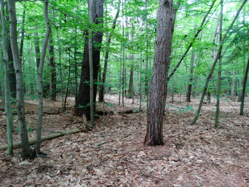0 Beechwood Drive Gilmanton NH 03237