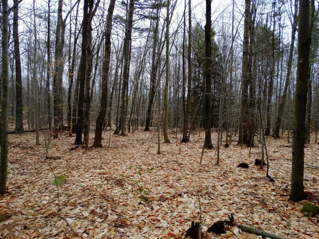 0 Beechwood Drive Gilmanton NH 03237
