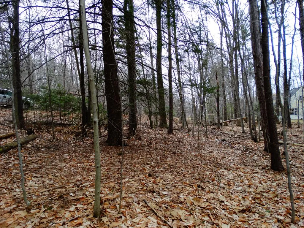 0 Beechwood Drive Gilmanton NH 03237