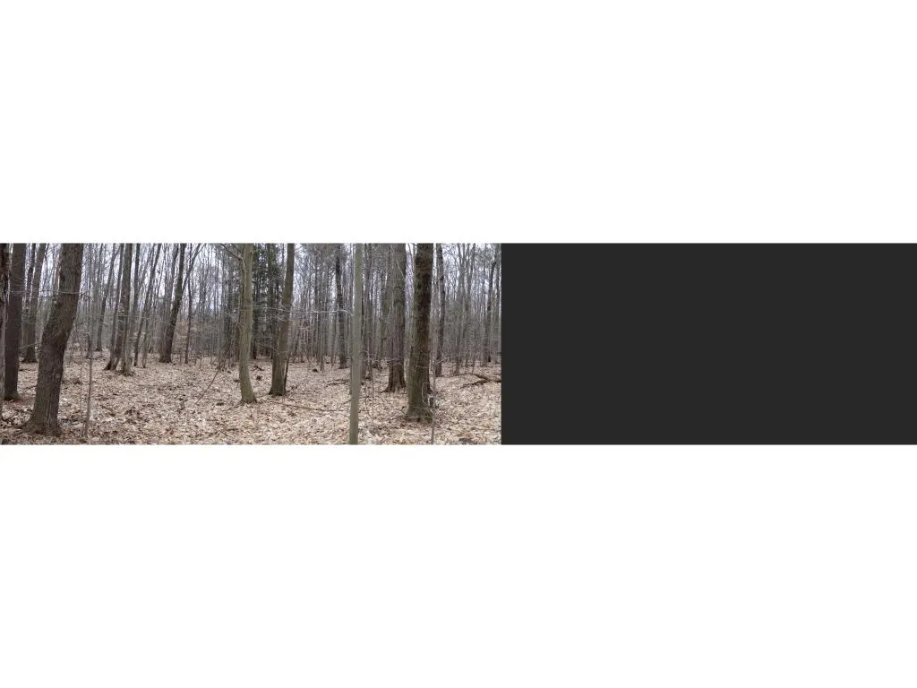 0 Beechwood Drive Gilmanton NH 03237