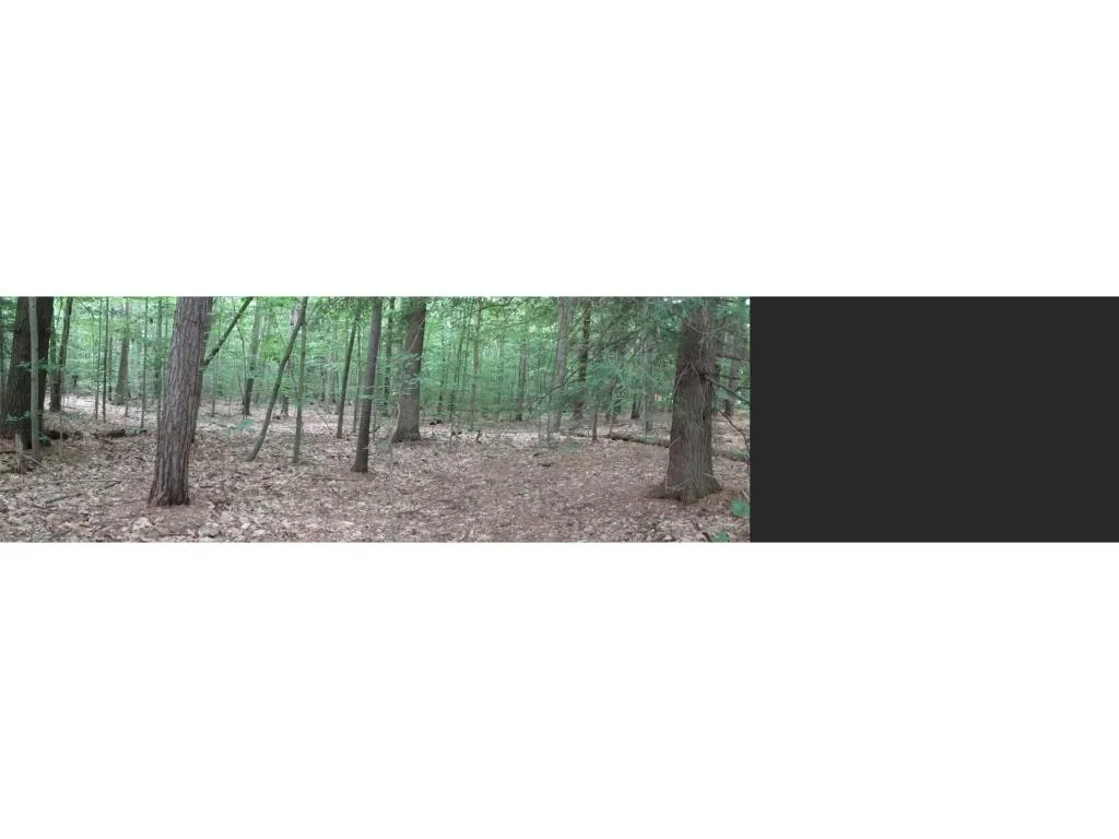 0 Beechwood Drive Gilmanton NH 03237