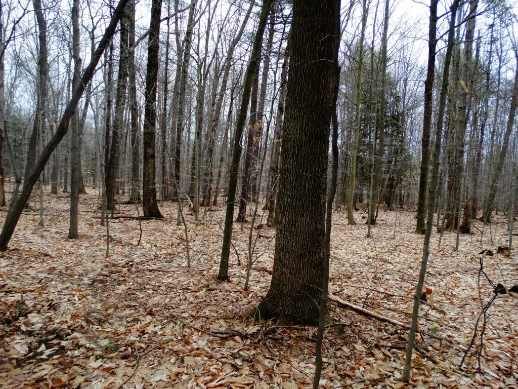 0 Beechwood Drive Gilmanton NH 03237