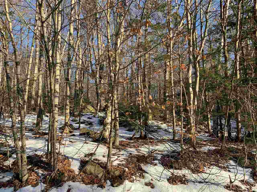 000 Andover Ridge Road Andover VT 05143