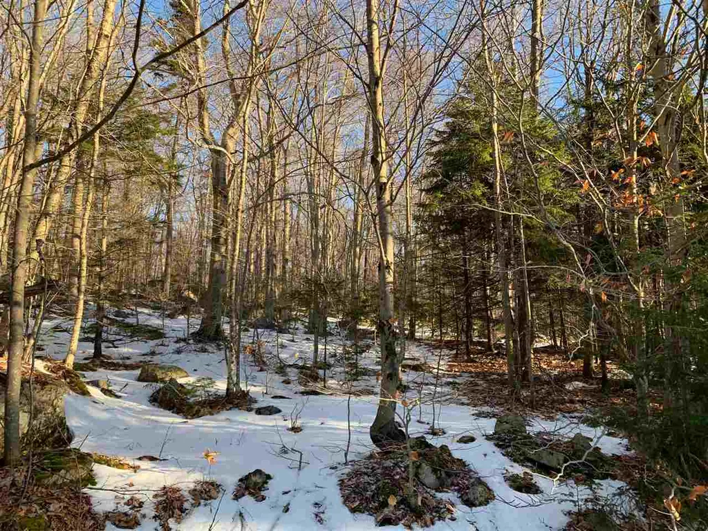 000 Andover Ridge Road Andover VT 05143