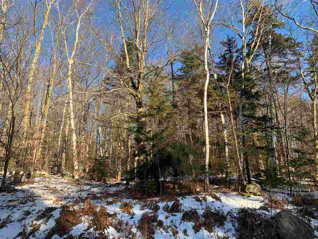 000 Andover Ridge Road Andover VT 05143