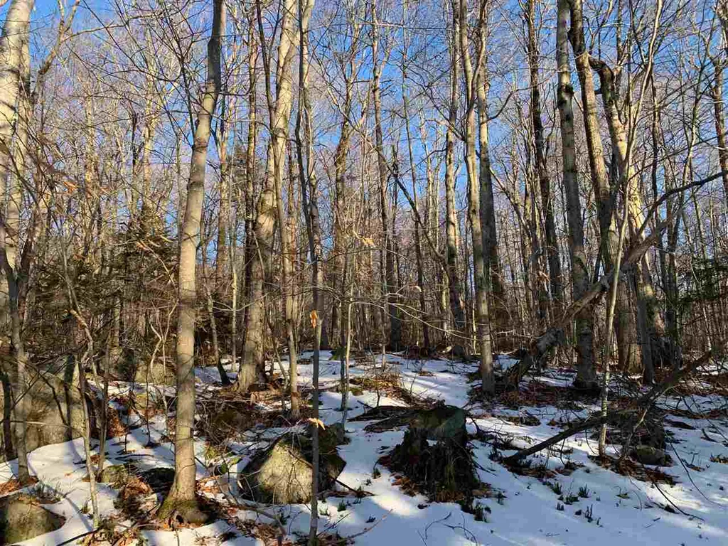 000 Andover Ridge Road Andover VT 05143