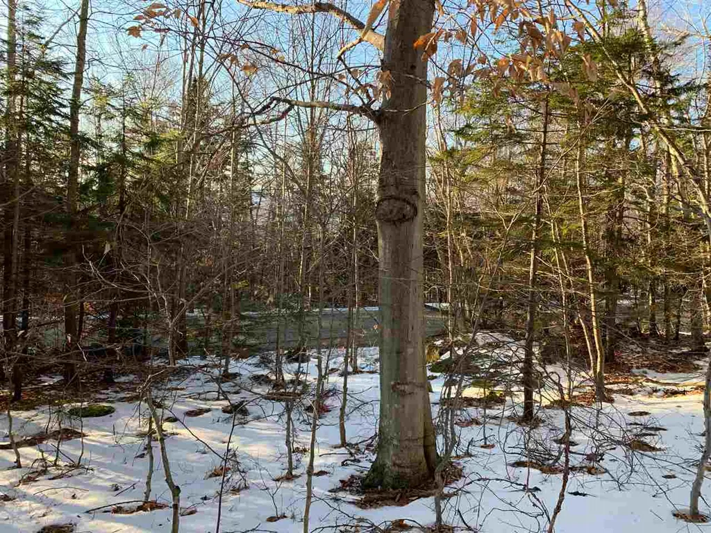 000 Andover Ridge Road Andover VT 05143