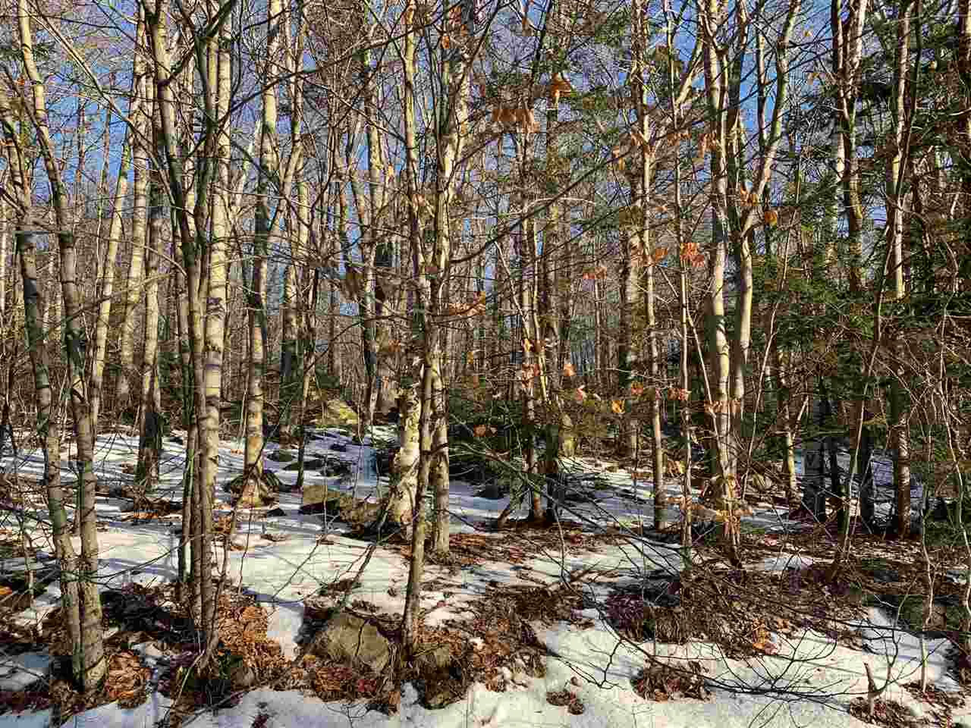 000 Andover Ridge Road Andover VT 05143