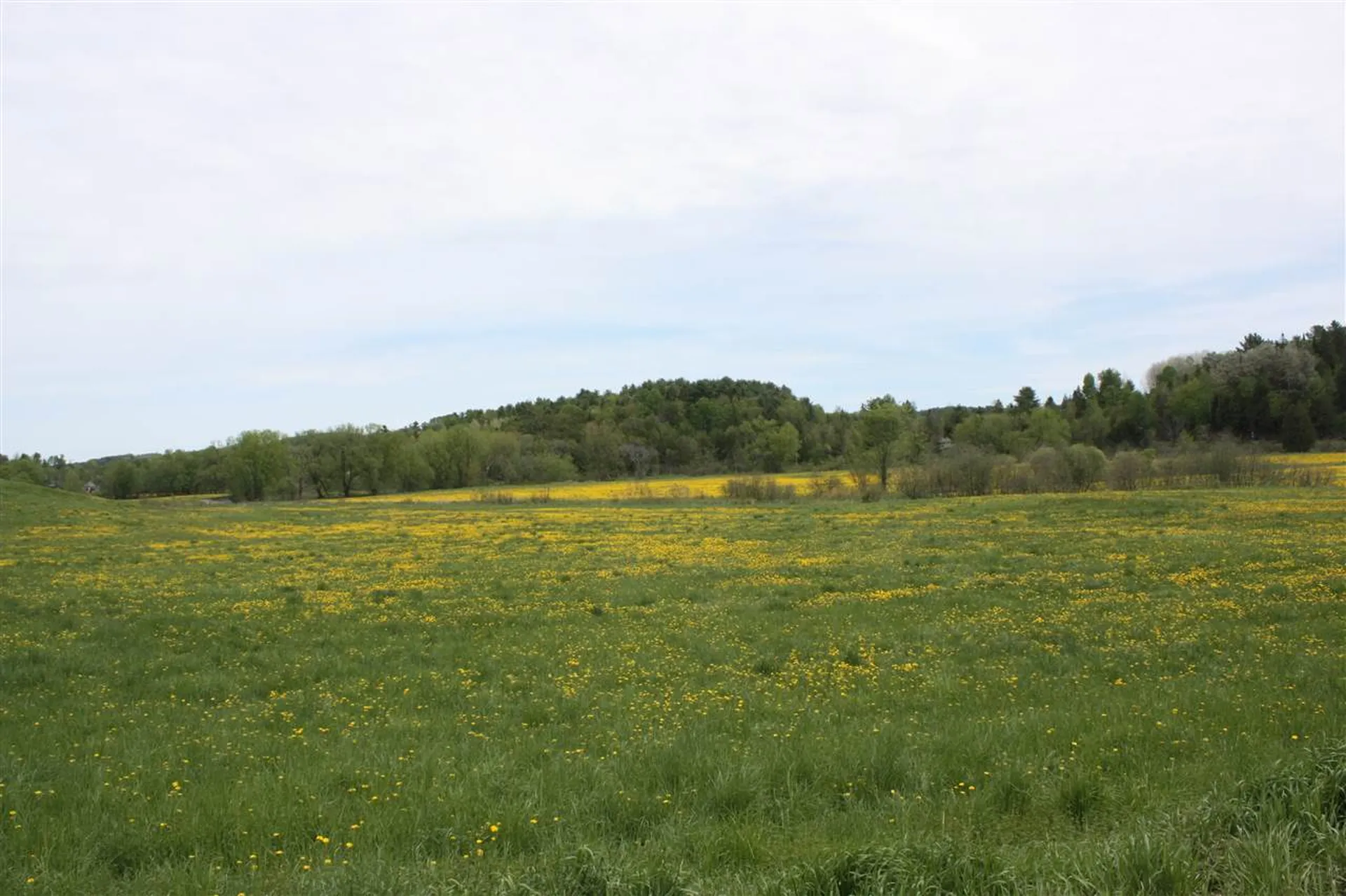 99 Chilafoux Road Irasburg VT 05845