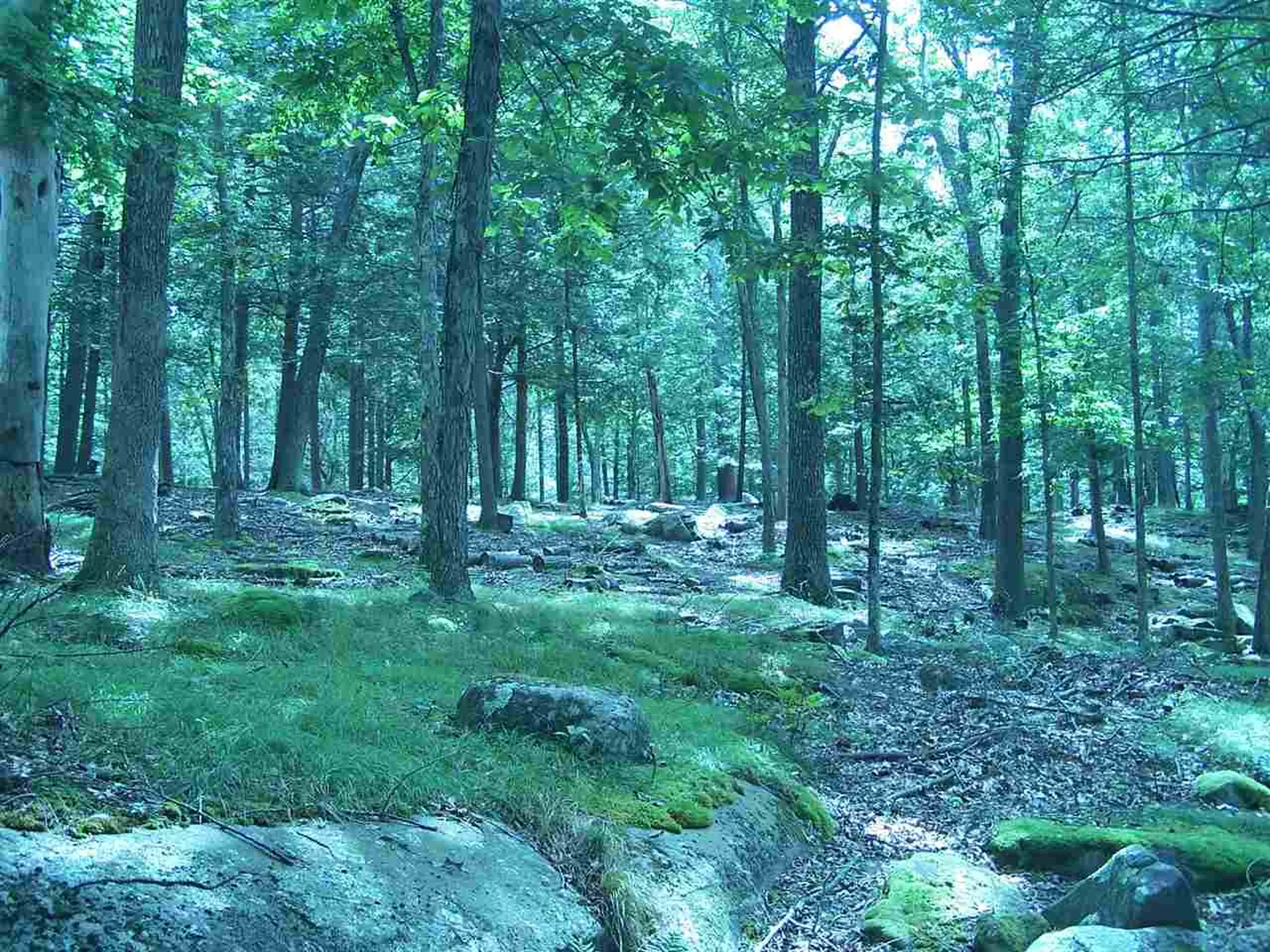 426 Bay Road Durham NH 03824