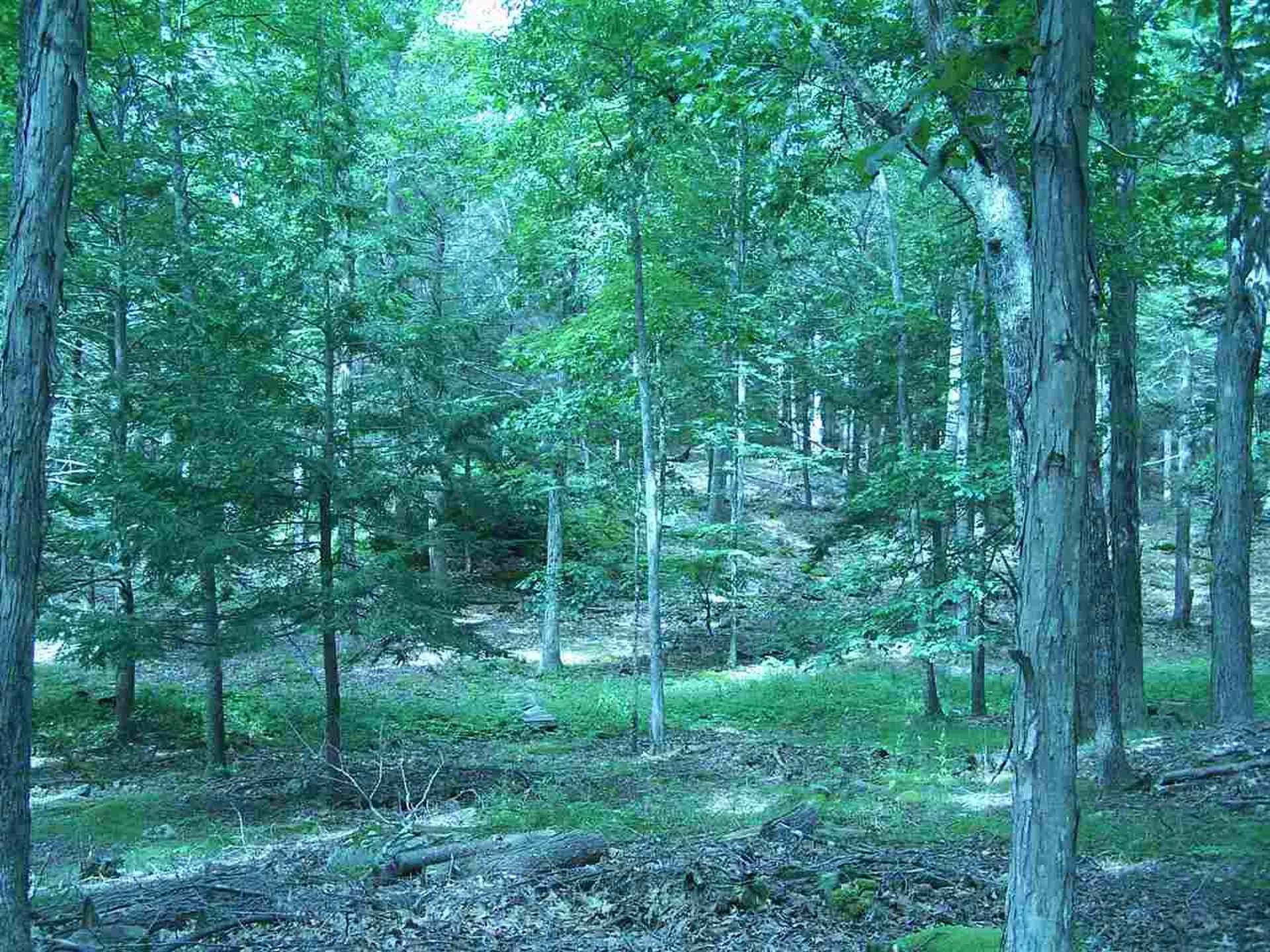 426 Bay Road Durham NH 03824