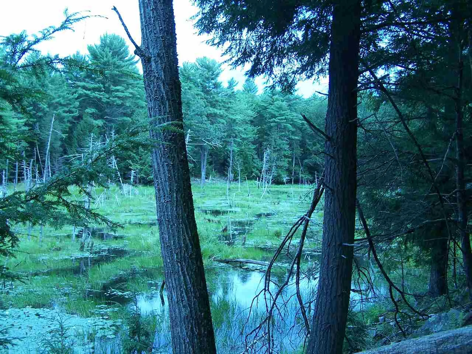 426 Bay Road Durham NH 03824