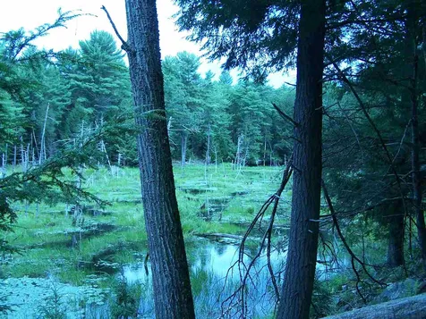 426 Bay Road Durham NH 03824