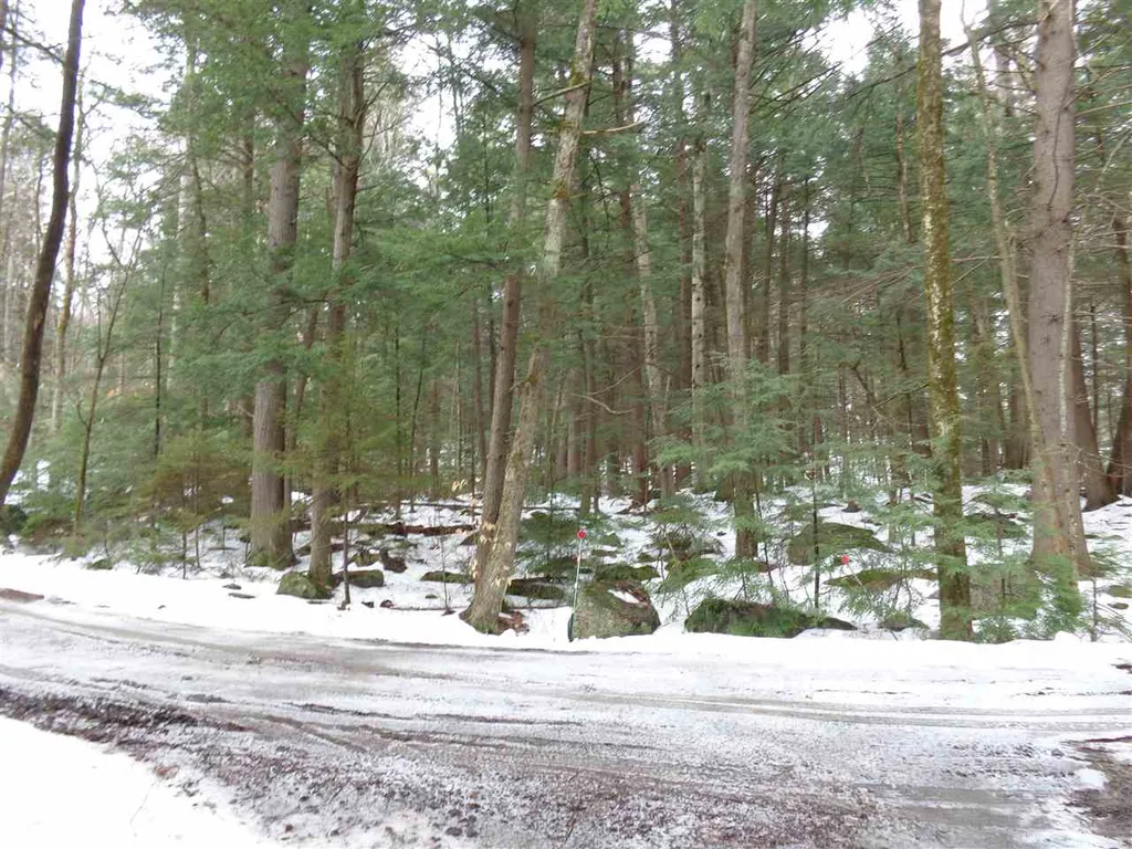 Lot 21 & Lot 38 Crystal Springs Road Hebron NH 03241