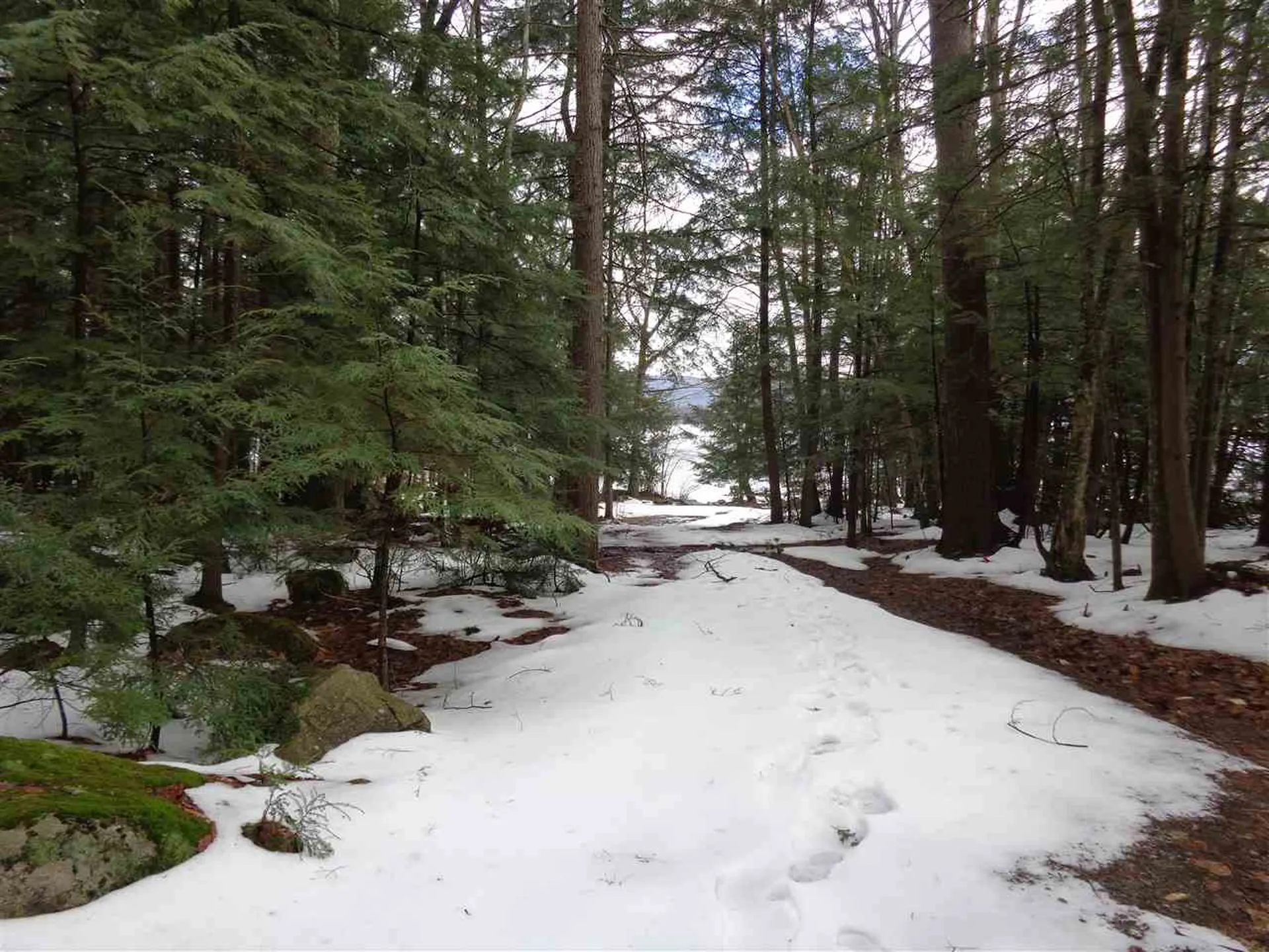 Lot 21 & Lot 38 Crystal Springs Road Hebron NH 03241