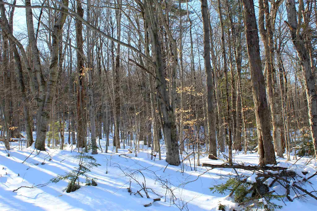 K-10 Mountain Acres Road Jamaica VT 05343