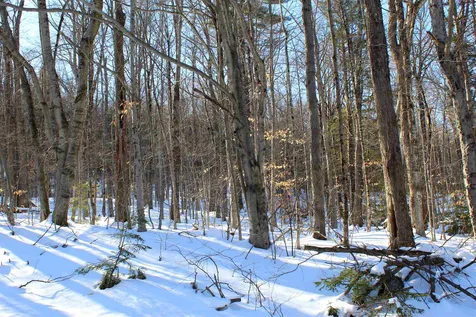 K-10 Mountain Acres Road Jamaica VT 05343