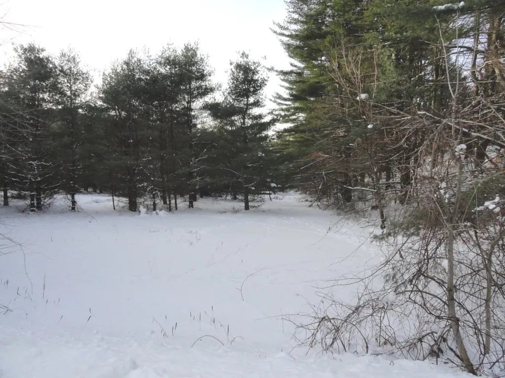 20 Milo White Road Jericho VT 05465