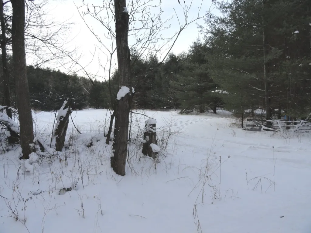 20 Milo White Road Jericho VT 05465