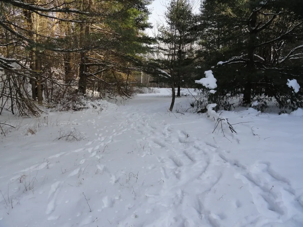 20 Milo White Road Jericho VT 05465