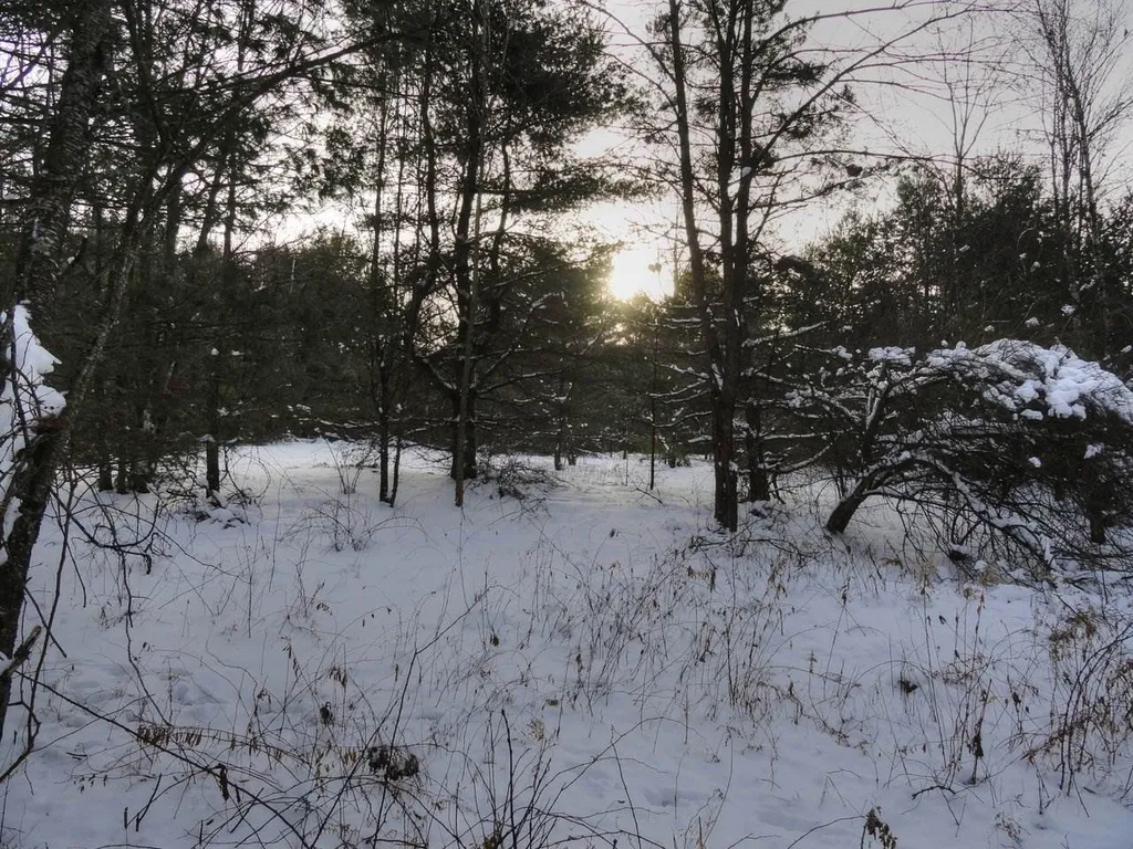 20 Milo White Road Jericho VT 05465