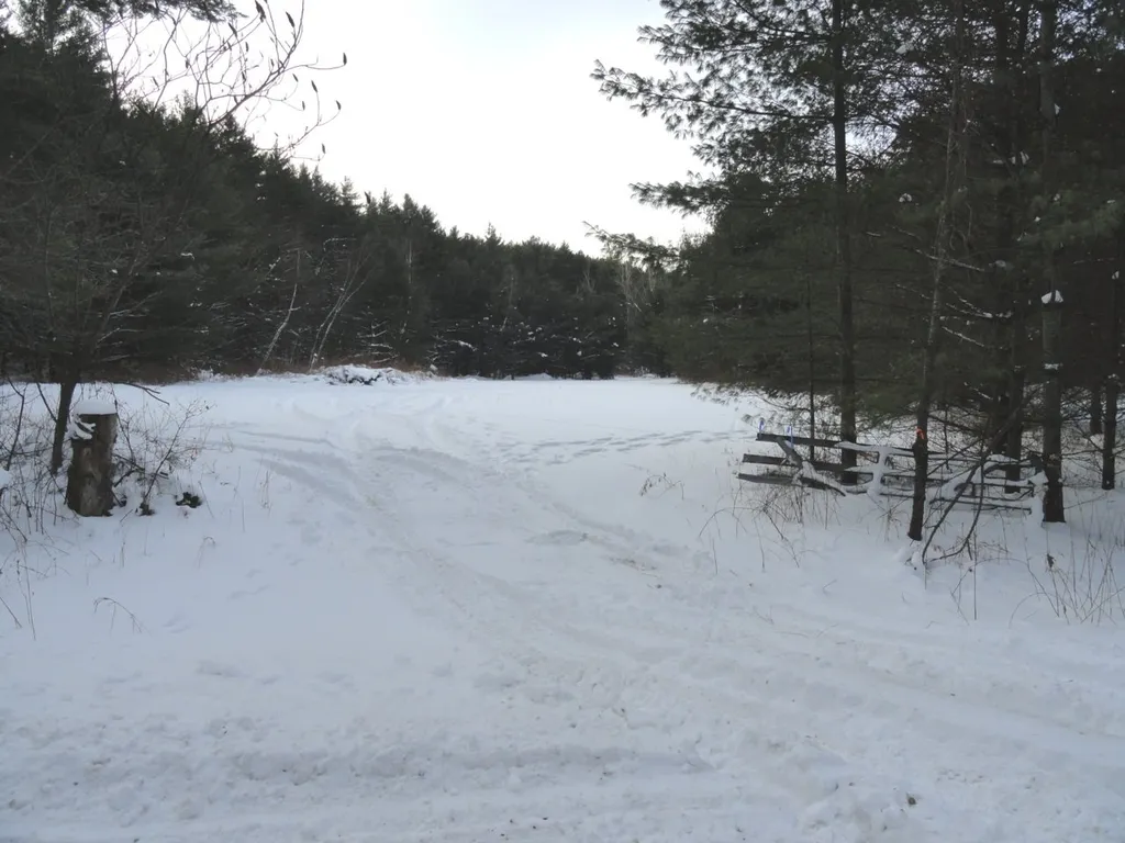 20 Milo White Road Jericho VT 05465